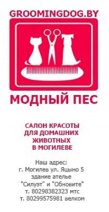 зоосалон Модный пес