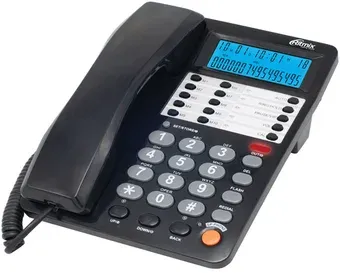 Ritmix RT-495 (черный)