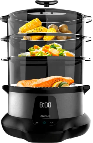 Cecotec Vapovita 3000 Pro 3254