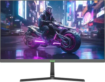 ELSA EA241S Pro