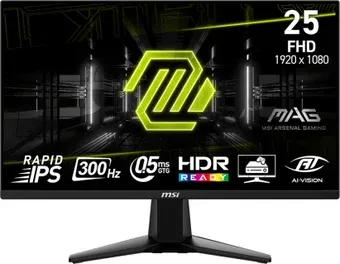 MSI MAG 255XF