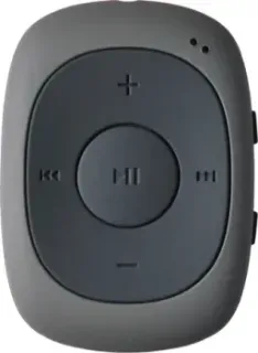 Digma C2LG (серый) [367272]