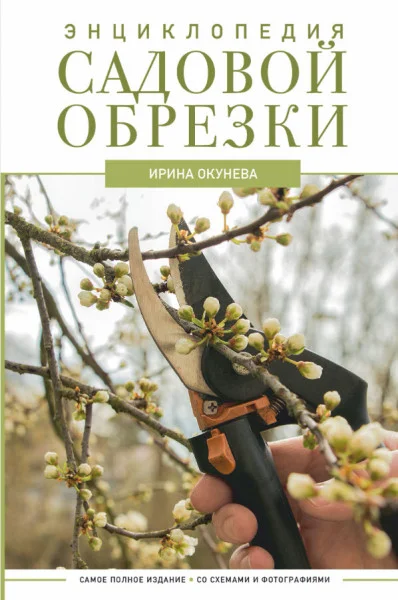 Энциклопедия садовой обрезки - Ирина Окунева - 2025 год