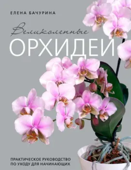 Великолепные орхидеи. Практичное руководство по уходу для начинающих - Елена Бачурина - 2025 год