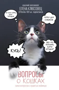 Вопросы о кошках - Елена Клюсовец - 2024 год