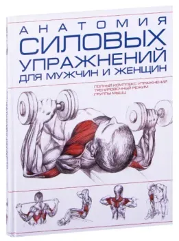 Анатомия силовых упражнений для мужчин и женщин - 2025 год