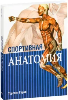 Спортивная анатомия - Герке Торстен - 2019 год