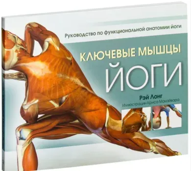 Ключевые мышцы йоги - Рэй Лонг - 2020 год