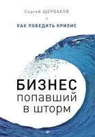 Бизнес, попавший в шторм. Как победить кризис - Сергей Щербаков - 2016 год
