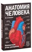 Анатомия человека. Компактный атлас-раскраска - Ю. Боянович - 2026 год
