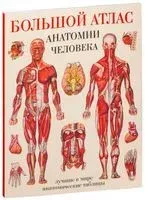 Большой атлас анатомии человека - Евгения Махиянова - 2026 год