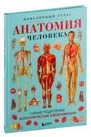 Анатомия человека. Популярный атлас. Самые подробные анатомические изображения - 2025 год