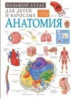 Анатомия - Анна Спектор - 2022 год