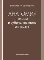 Анатомия головы и зубочелюстного аппарата - Валентин Козлов, Татьяна Цехмистренко - 2025 год