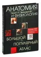 Анатомия и физиология. Большой популярный атлас - Габриэль Билич, Елена Зигалова - 2022 год
