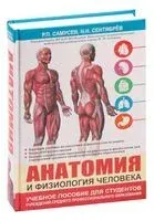 Анатомия и физиология человека. Учебное пособие для студентов учреждений среднего профессионального образования - Рудольф Самусев, Николай Сентябрев - 2025 год