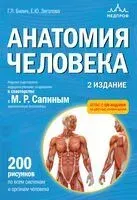 Анатомия человека - Габриэль Билич, Елена Зигалова - 2024 год