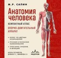 Анатомия человека. Компактный атлас. Опорно-двигательный аппарат - Михаил Сапин - 2025 год