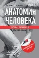 Анатомия человека: Русско-латинский атлас с QR-кодами - Габриэль Билич, Елена Зигалова - 2024 год