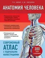 Анатомия человека. Современный атлас с подробными иллюстрациями - Габриэль Билич, Елена Зигалова - 2024 год