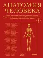 Анатомия человека. Эксклюзивное издание с 50-летней историей. Том 1 - Джузеппе Анастази, Гвидо Кавалетти, Марио Каннас - 2025 год