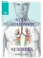 Атлас анатомии человека - 2026 год