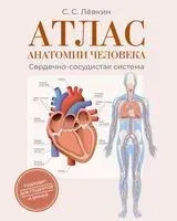 Атлас анатомии человека. Сердечно-сосудистая система - Сергей Левкин - 2025 год