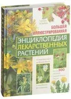 Большая иллюстрированная энциклопедия лекарственных растений - Татьяна Ильина - 2026 год