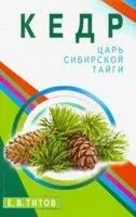 Кедр. Царь сибирской тайги - Евгений Титов - 2020 год