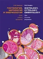Histology, Cytology, Embryology. Atlas of practice preparations - С. Зиматкин - 2023 год