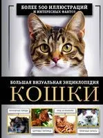 Кошки - Дмитрий Смирнов - 2025 год