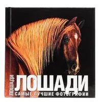 Лошади - 2008 год