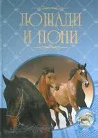 Лошади и пони - Владимир Жабцев - 2020 год