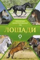 Лошади. Иллюстрированный гид - Анна Спектор - 2026 год