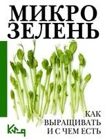 Микрозелень. Как выращивать и с чем есть - 2023 год