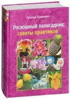 Роскошный палисадник - Наталья Тышкевич - 2014 год