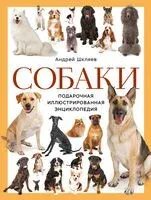 Собаки. Подарочная иллюстрированная энциклопедия - Андрей Шкляев - 2025 год