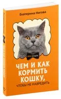 Чем и как кормить кошку, чтобы не навредить - Екатерина Нигова - 2024 год