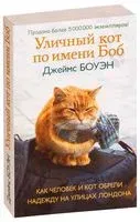 Уличный кот по имени Боб - Джеймс Боуэн - 2019 год