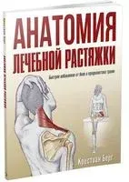Анатомия лечебной растяжки: быстрое избавление от боли и профилактика травм - 2025 год
