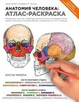 Анатомия человека. Атлас-раскраска - У. Кэпит, Л. Элсон - 2019 год