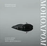 Монохром. Пронзительная красота России в черно-белых фотографиях Ивана Дементиевского - Иван Дементиевский - 2025 год