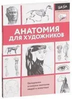 Анатомия для художников - 2025 год