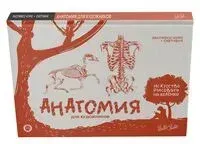 Анатомия для художников. Экспресс-курс + скетчбук - А. Степанова - 2023 год