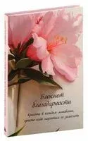 Блокнот благодарности. Красота в каждом мгновении, просто надо научиться ее замечать - 2025 год
