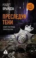 Преследуя тени - Роберт Брындза - 2025 год