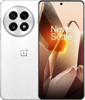 OnePlus 13 12GB/256GB международная версия (белый)