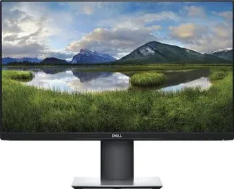 Dell P2419H
