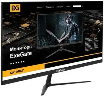 ExeGate SmartView EP2407TA EX295525RUS