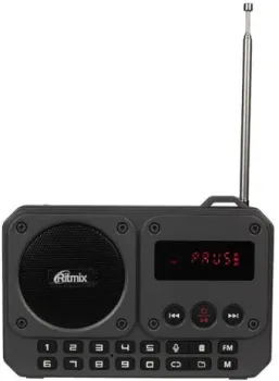 Ritmix RPR-010
